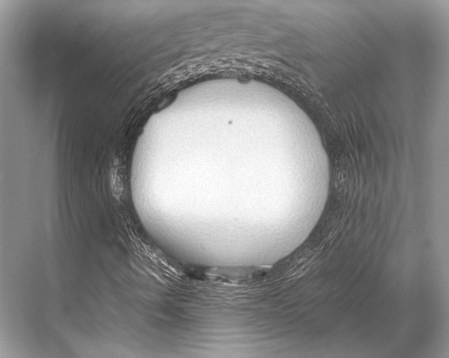 X0000067831490200605041610