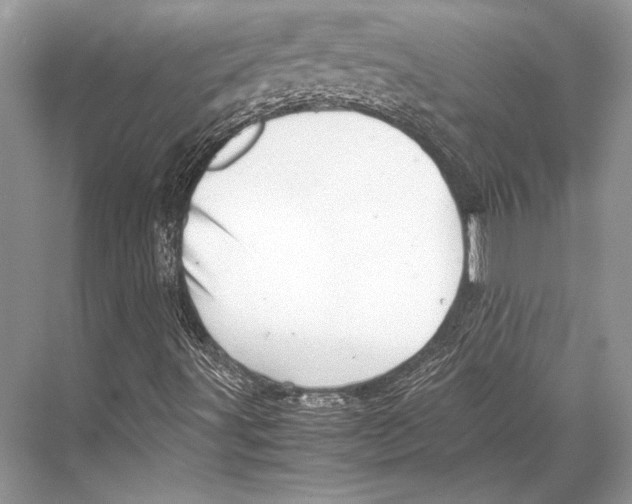 X0000067831491200605041610