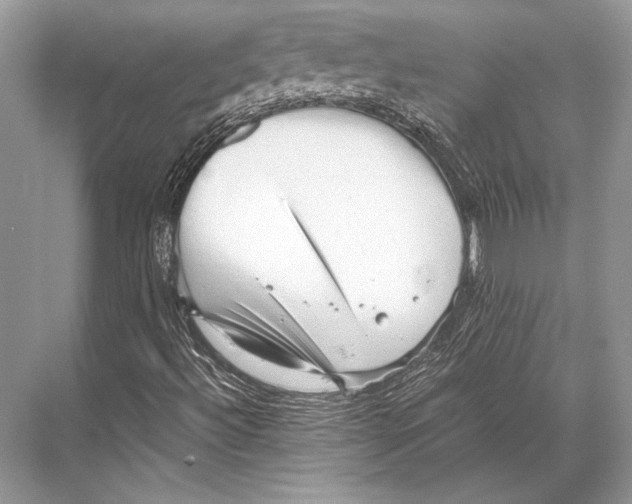 X0000067831492200605041610