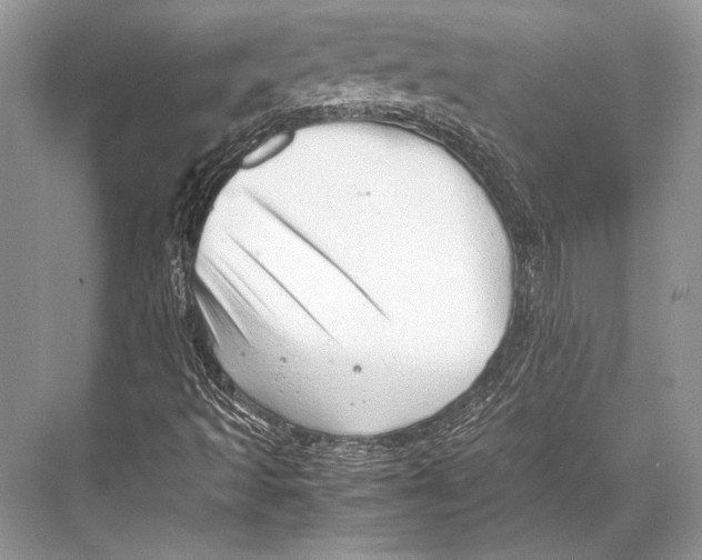 X0000067831493200605041610