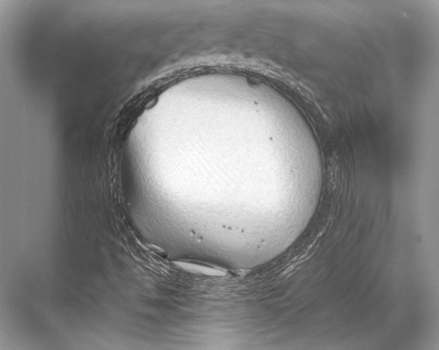 X0000067831494200605041610