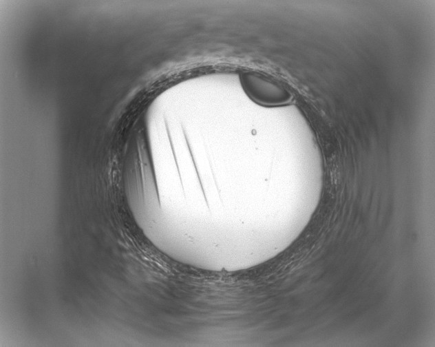 X0000067831495200605041610