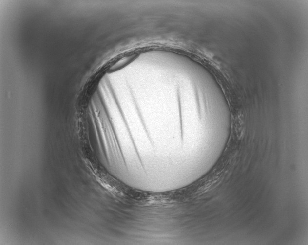 X0000067831496200605041610