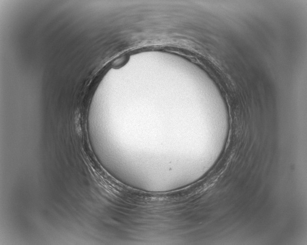 X0000067831497200605041610