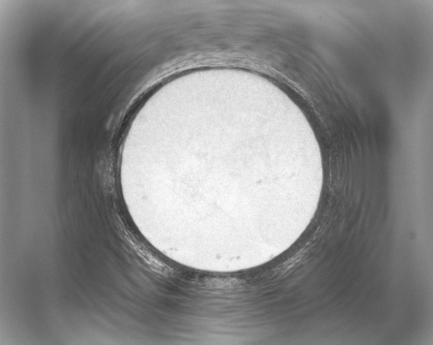 X0000067831498200605041610