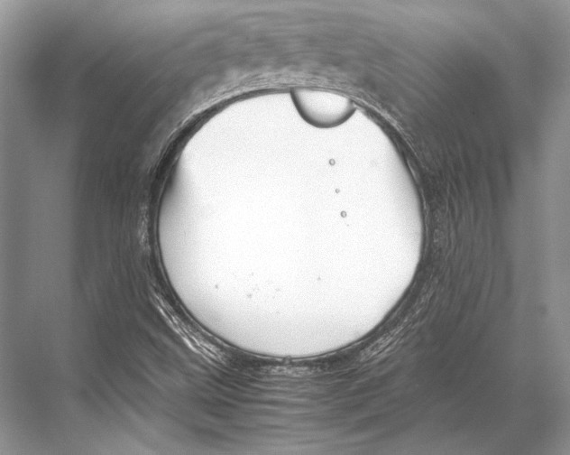 X0000067831499200605041610