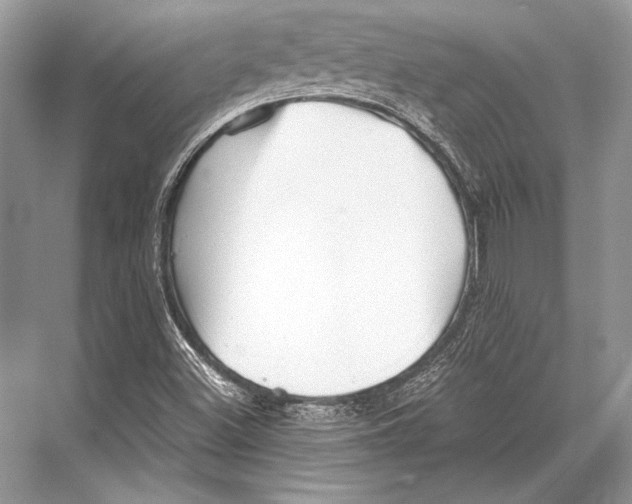 X0000067831500200605041610