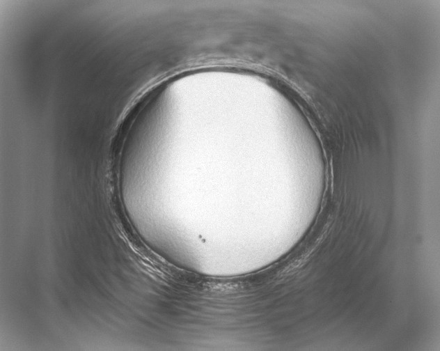 X0000067831501200605041610