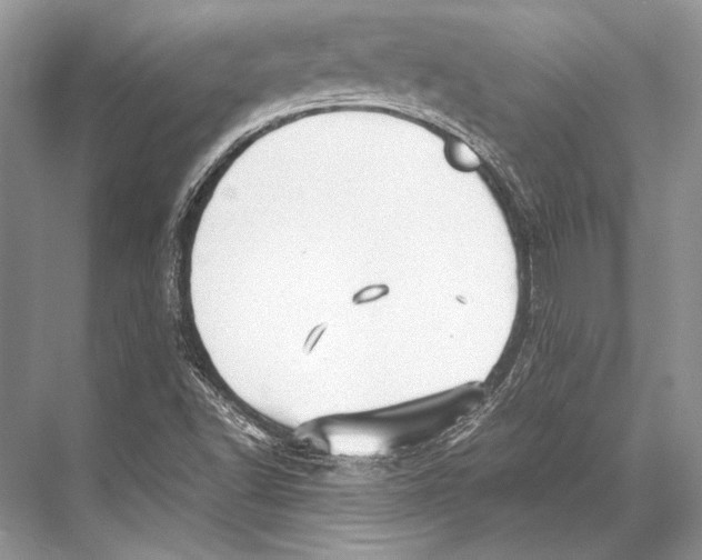 X0000067831502200605041610