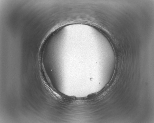 X0000067831506200605041610