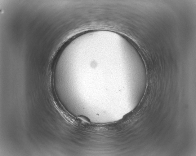 X0000067831507200605041610