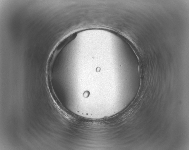 X0000067831508200605041610