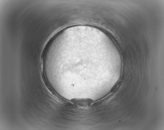 X0000067831509200605041610