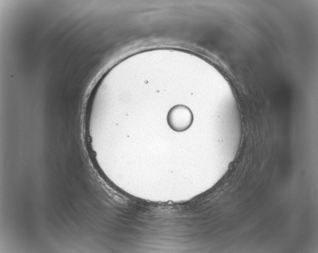 X0000067831512200605041610