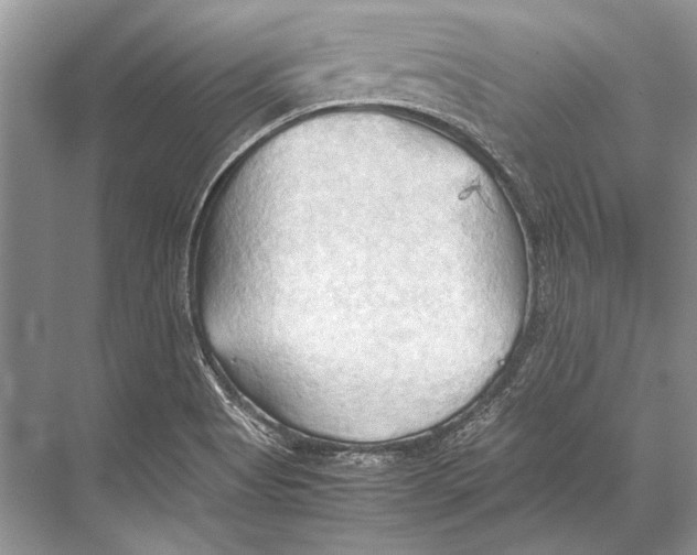 X0000067831513200605041610