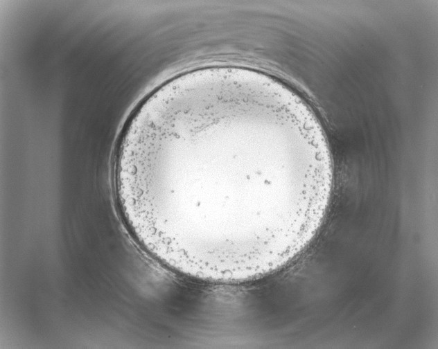 X0000067831514200605041610