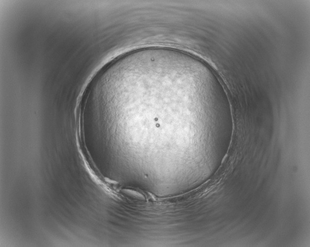 X0000067831515200605041610