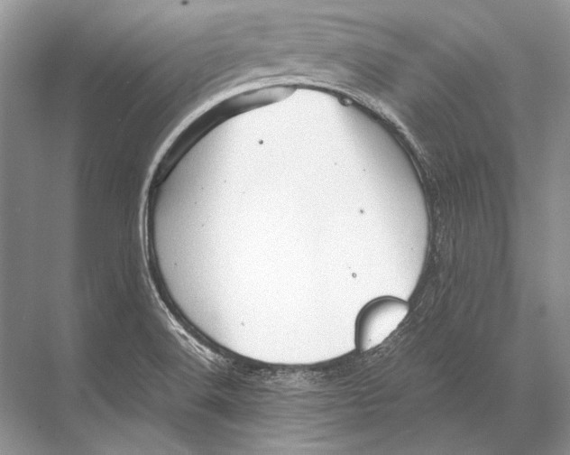 X0000067831516200605041610