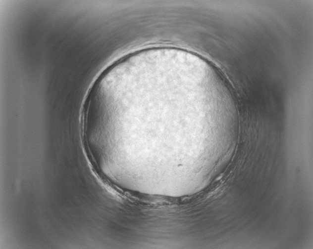 X0000067831519200605041610