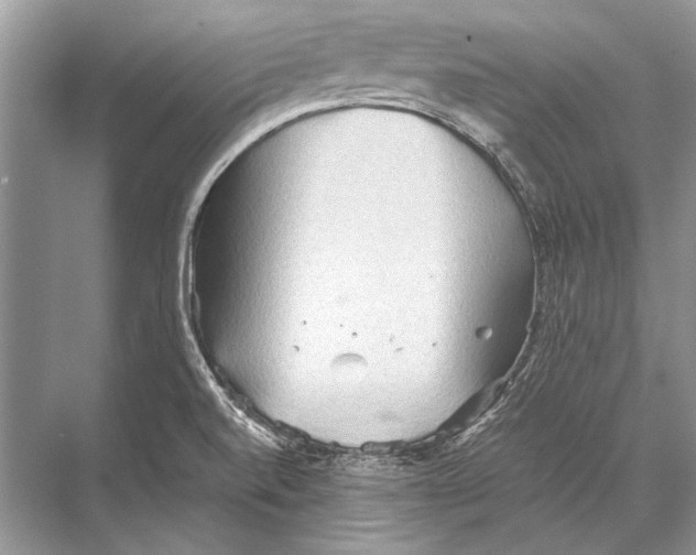 X0000067831520200605041610