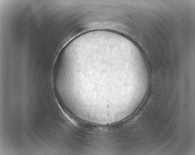 X0000067831521200605041610