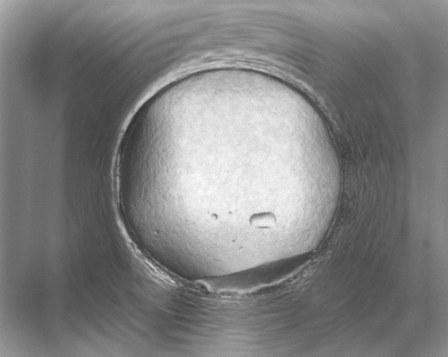 X0000067831522200605041610