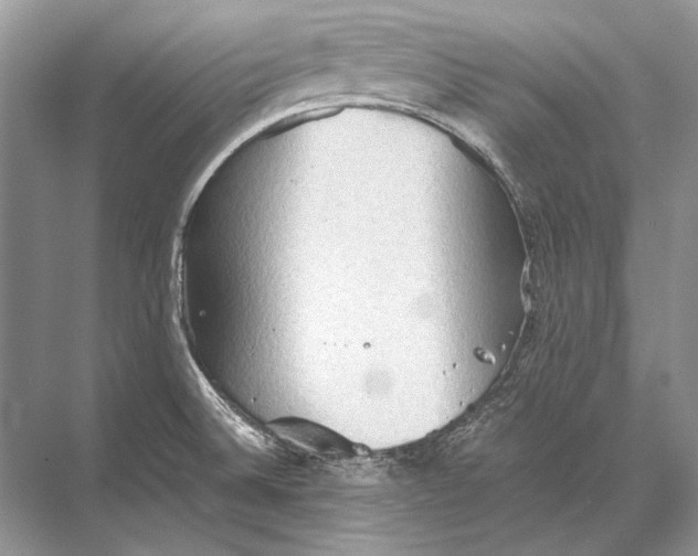 X0000067831524200605041610