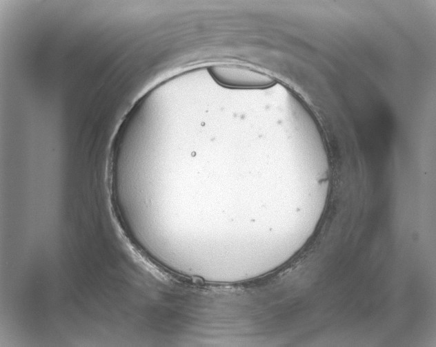 X0000067831526200605041610