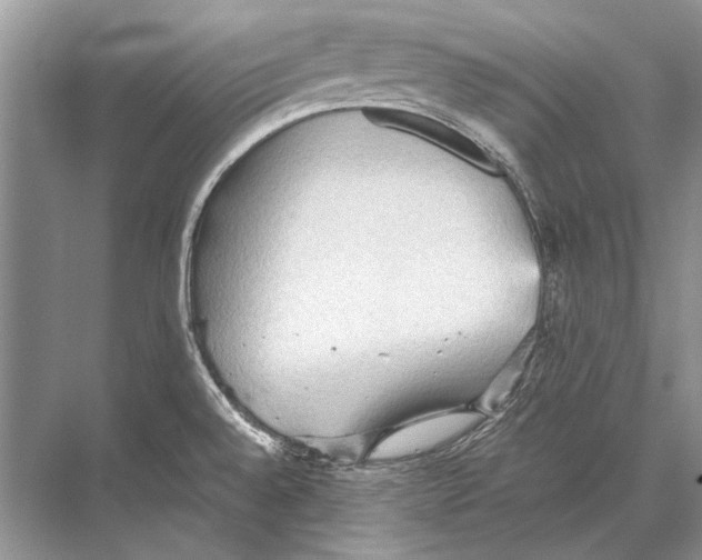 X0000067831528200605041610