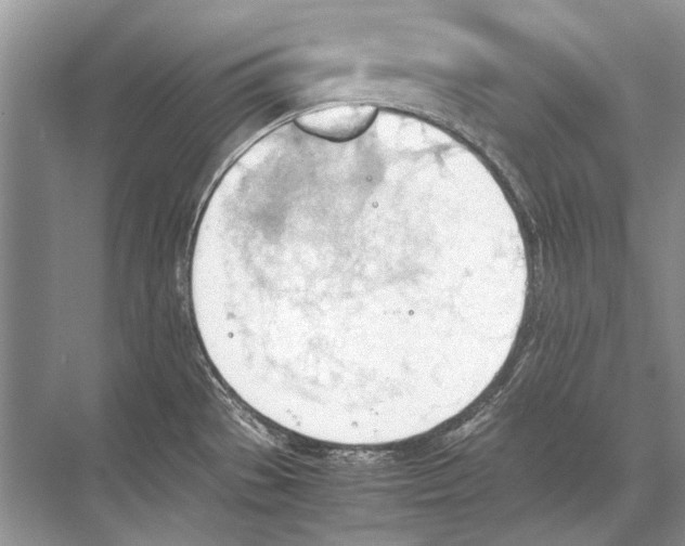 X0000067831529200605041610