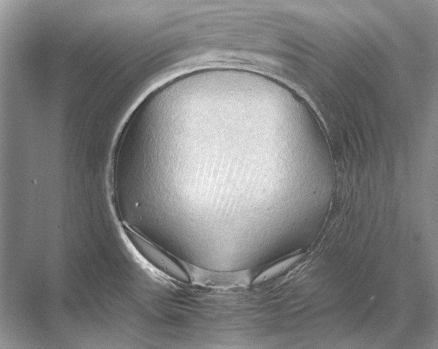 X0000067831531200605041610