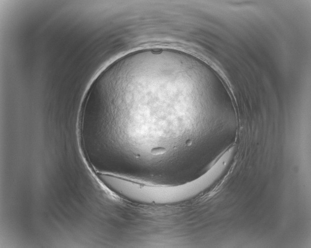 X0000067831533200605041610