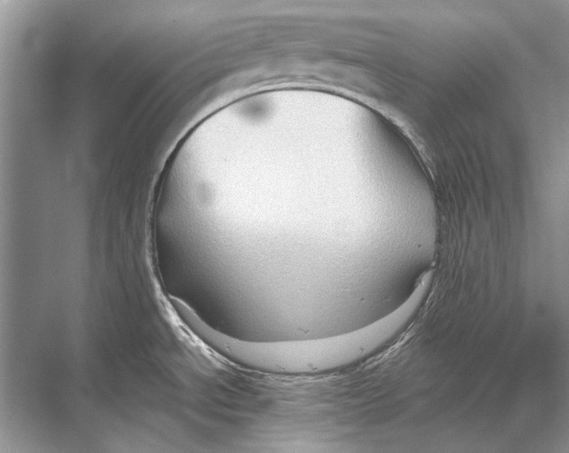 X0000067831534200605041610