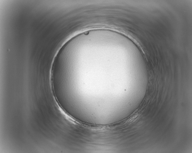 X0000067831535200605041610