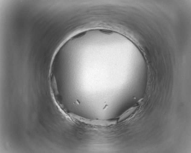 X0000067831536200605041610