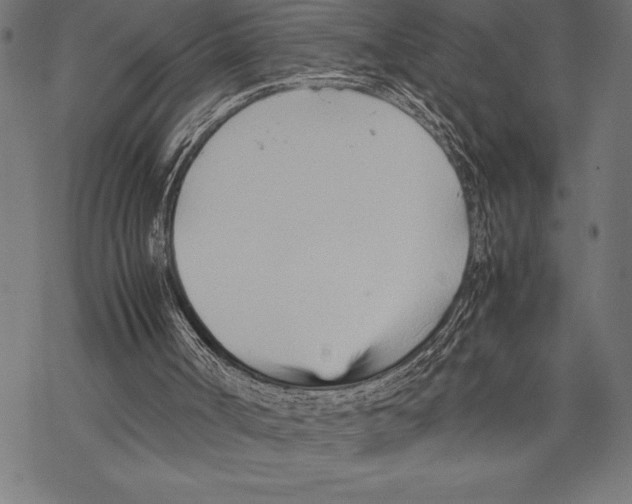 X0000067830002200605111629