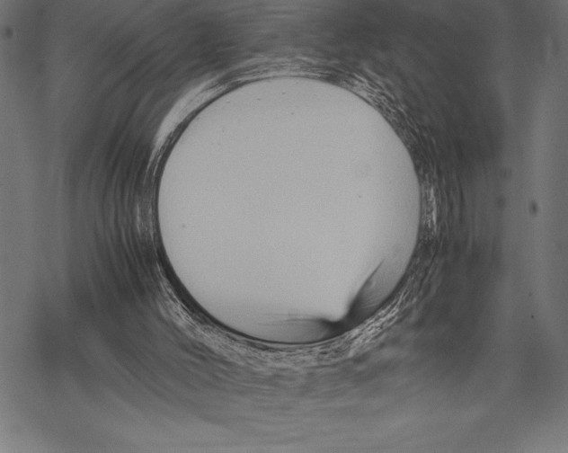 X0000067830004200605111629