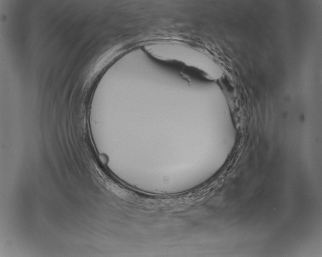 X0000067830005200605111629