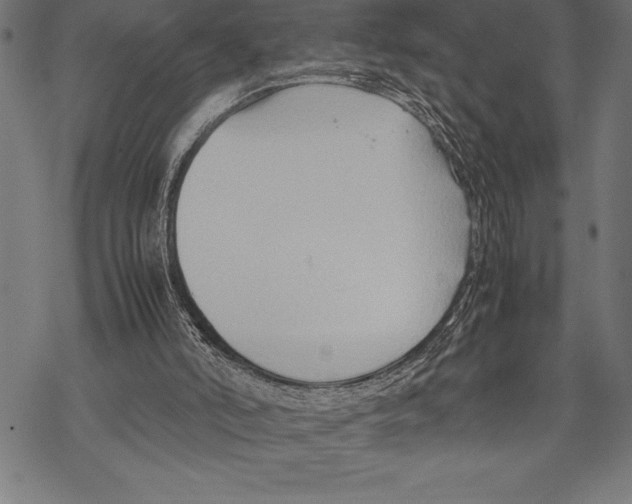 X0000067830006200605111629