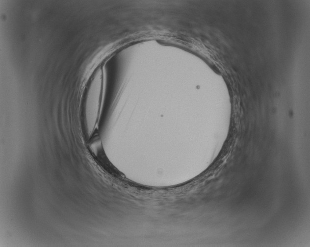 X0000067830007200605111629