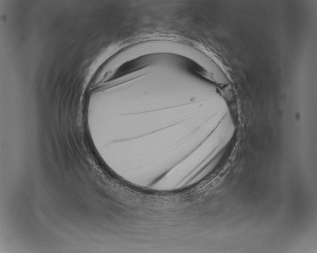 X0000067830008200605111629