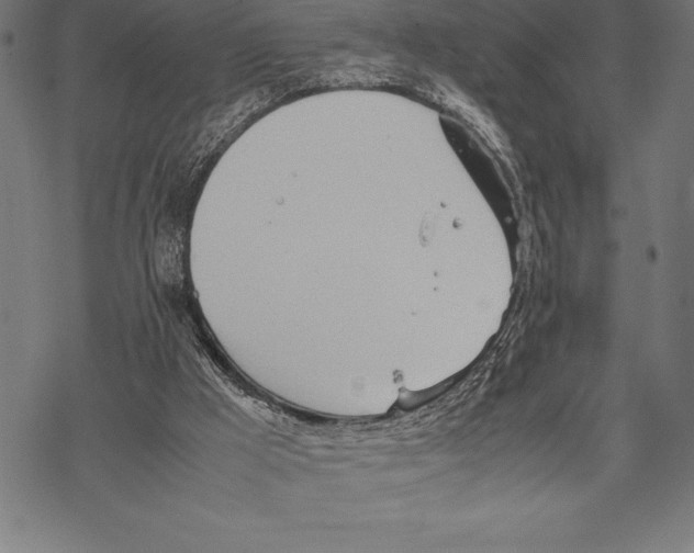 X0000067830009200605111629