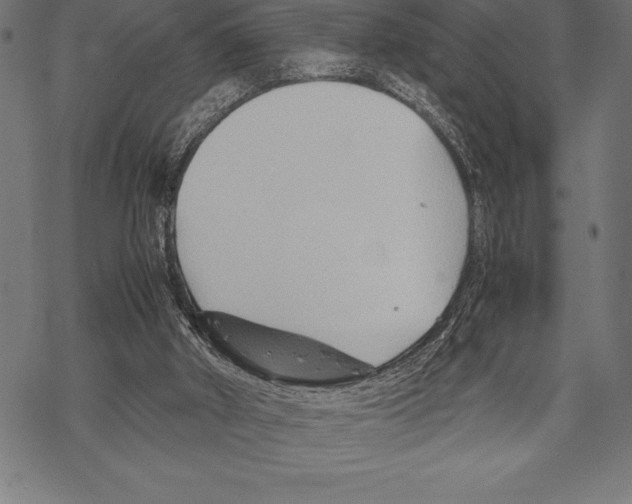 X0000067830010200605111629