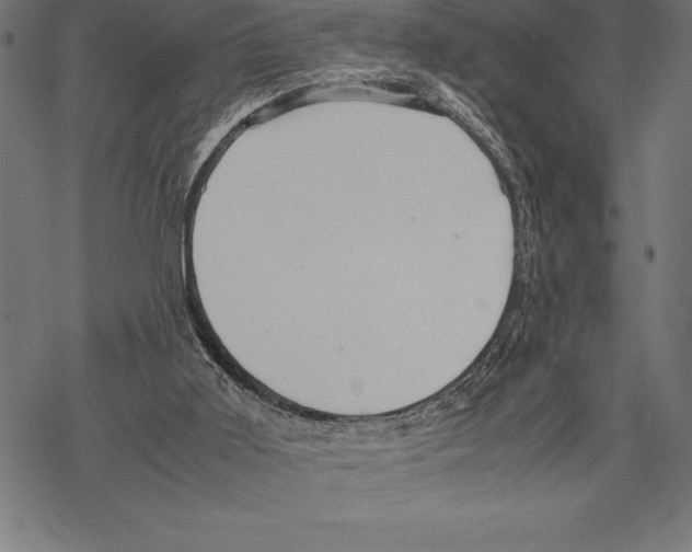 X0000067830011200605111629