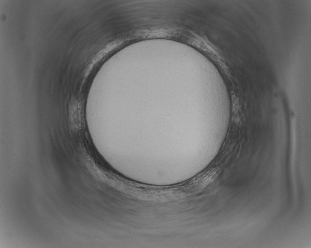 X0000067830012200605111629