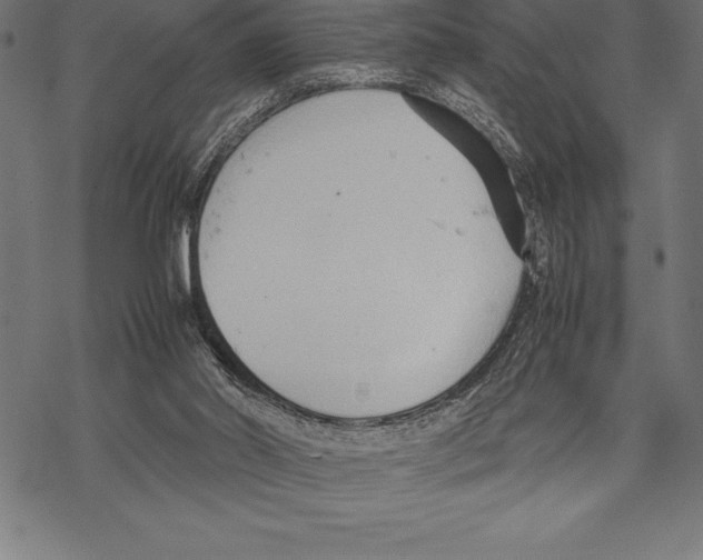 X0000067830014200605111628