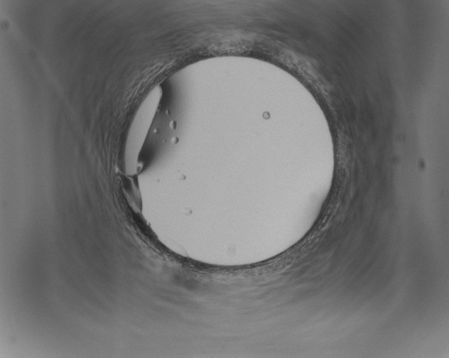 X0000067830017200605111628