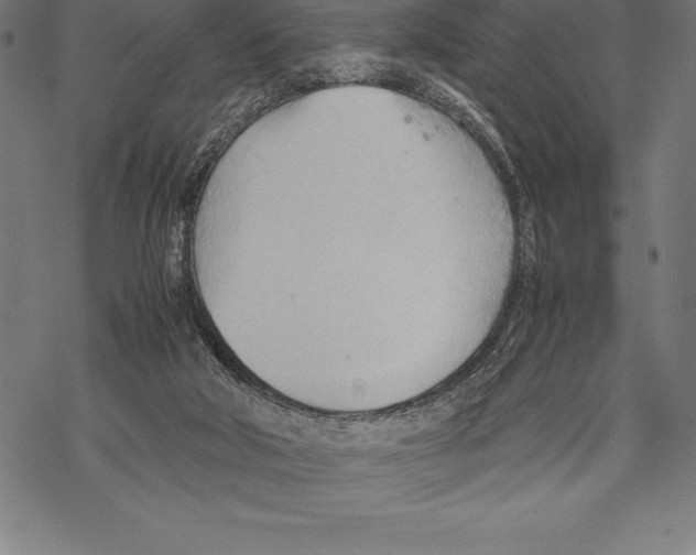 X0000067830018200605111628