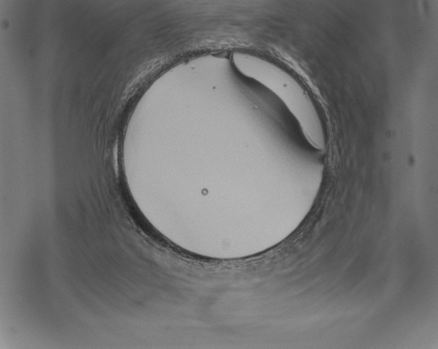 X0000067830019200605111628