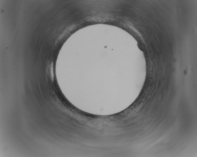 X0000067830020200605111628